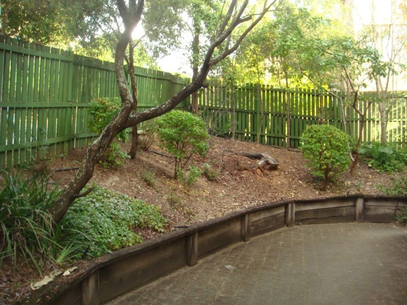 2/19 Durham Street, St Lucia QLD 4067