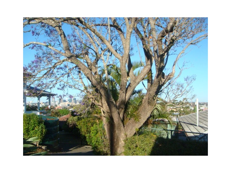 1/38 Miskin Street, Toowong QLD 4066