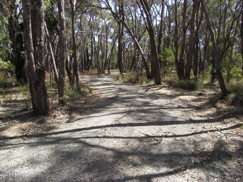 565 Wormbete Station Road, Gherang VIC 3240