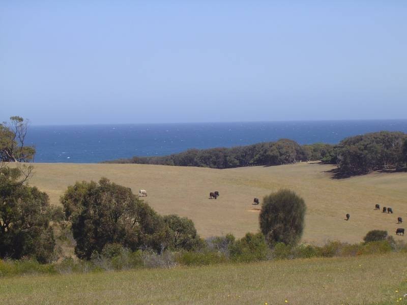 170a Bones Road, Jan Juc VIC 3228