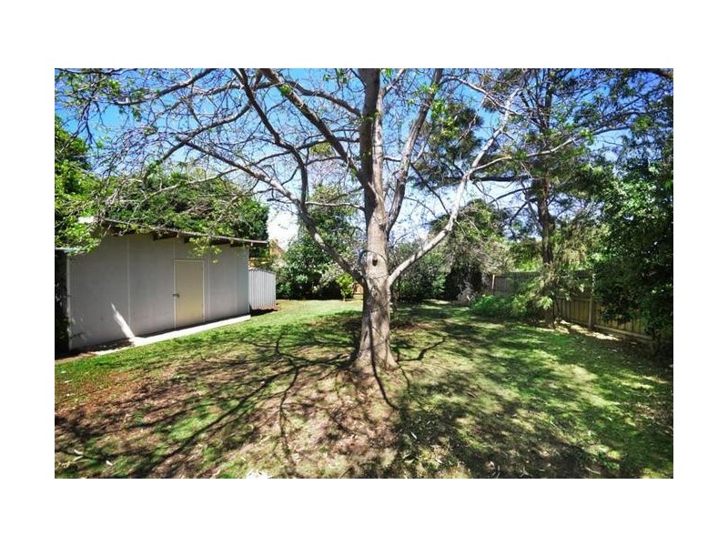 29 Beales Street, Torquay VIC 3228