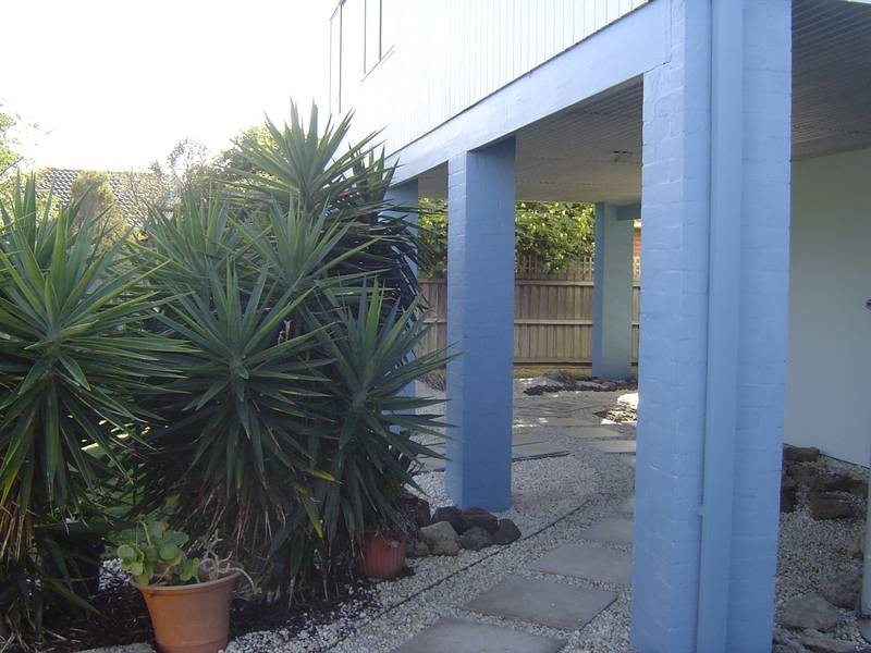 56 Glaneuse Avenue, Torquay VIC 3228