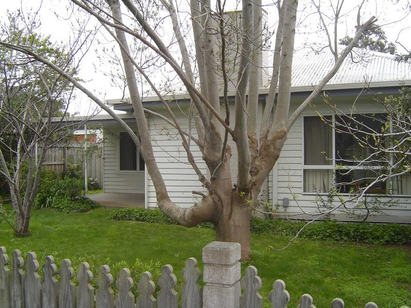 80 Zeally Bay Road, Torquay VIC 3228