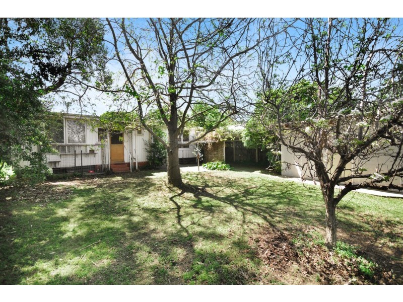 29 Beales Street, Torquay VIC 3228