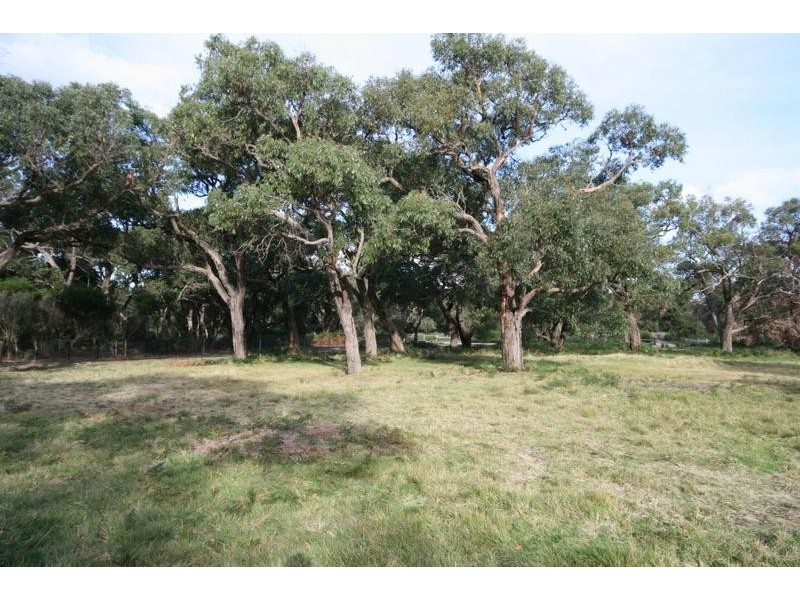 17 Stringybark Drive, Torquay VIC 3228