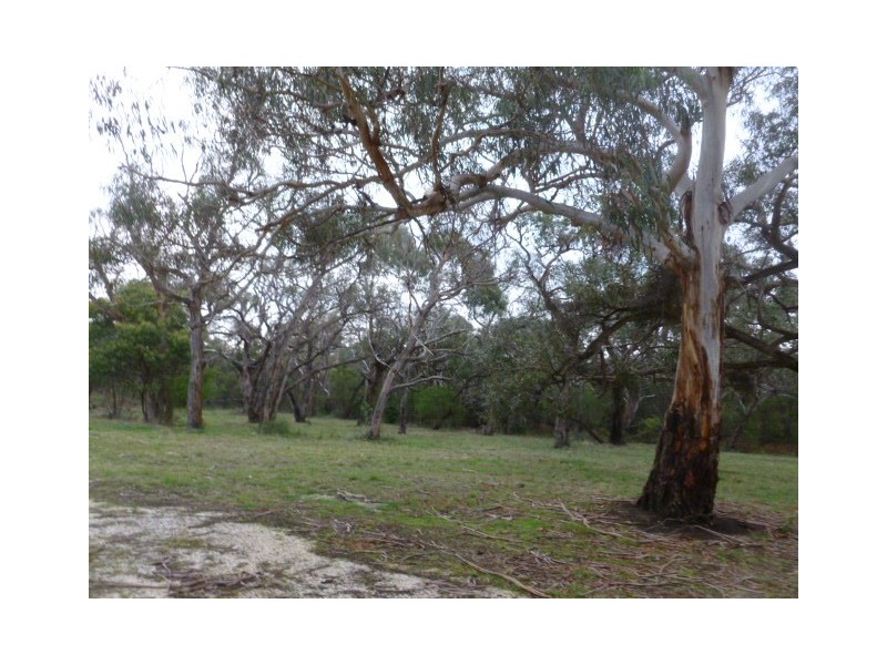 105 Bones Road, Jan Juc VIC 3228