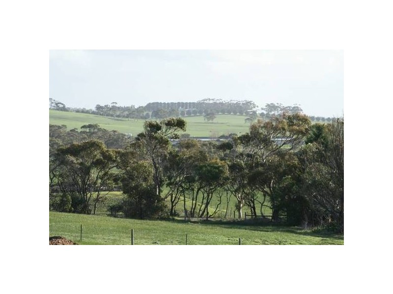 Banksia Close, Torquay VIC 3228