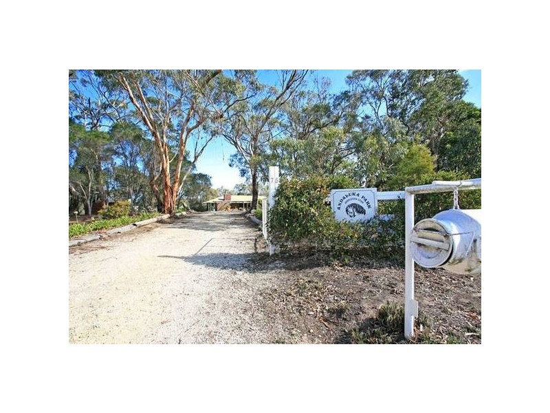 Portreath Road, Bellbrae VIC 3228