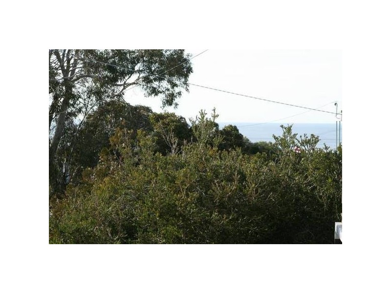 51 Grandview Road, Torquay VIC 3228