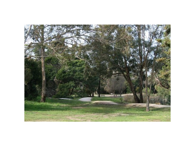 2/32 Spring Street, Torquay VIC 3228