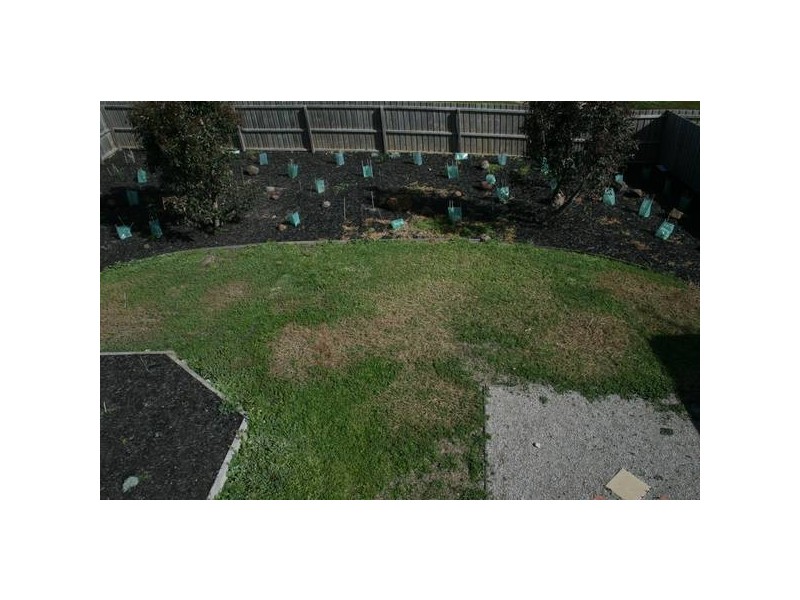 16 Banksia Close, Torquay VIC 3228