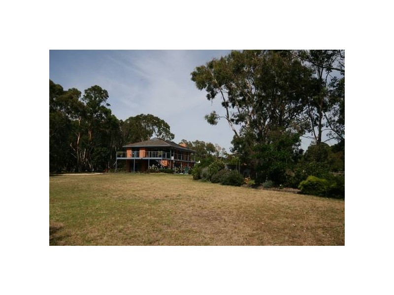 55 Aquarius Avenue, Torquay VIC 3228