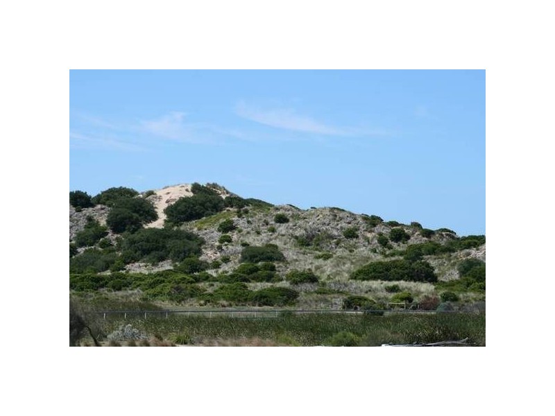 2/7 Fatimah Court, Torquay VIC 3228