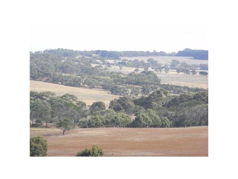 2 Fisho’s Drive, Torquay VIC 3228