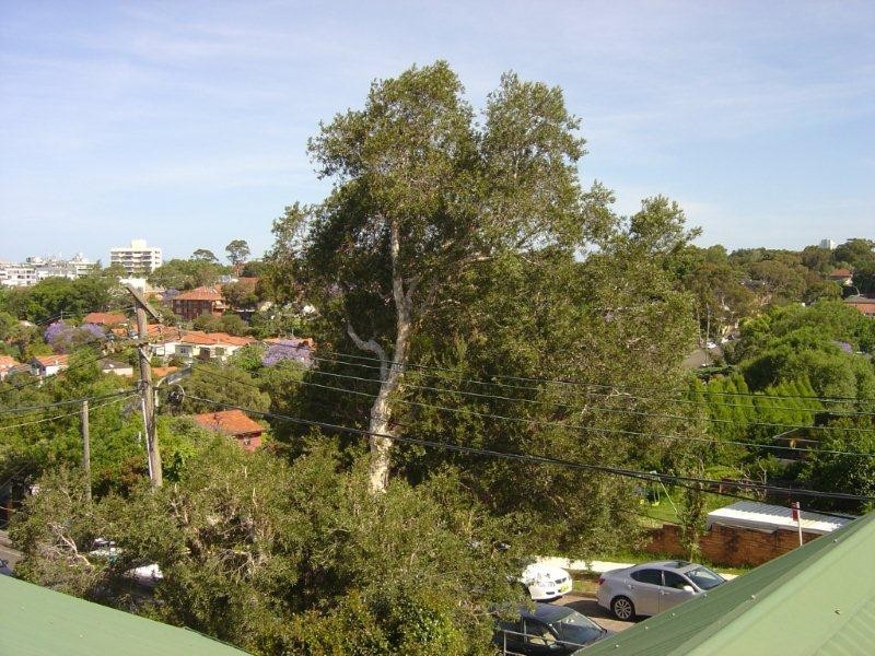 5 Marks Street, Naremburn NSW 2065