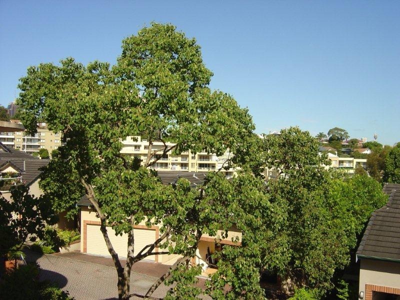 23/1-11 Bridge End, Wollstonecraft NSW 2065