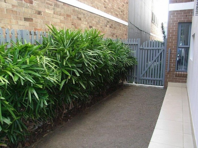 4/107 Chandos Street, Crows Nest NSW 2065