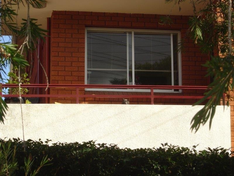 4/4 Church Street, Ashfield NSW 2131