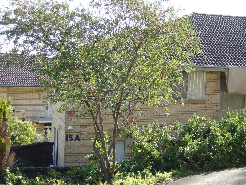 4/15A Bridge End, Wollstonecraft NSW 2065