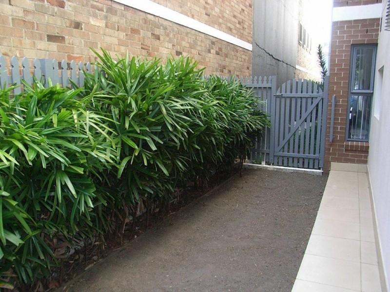 4/107 Chandos Street, Crows Nest NSW 2065