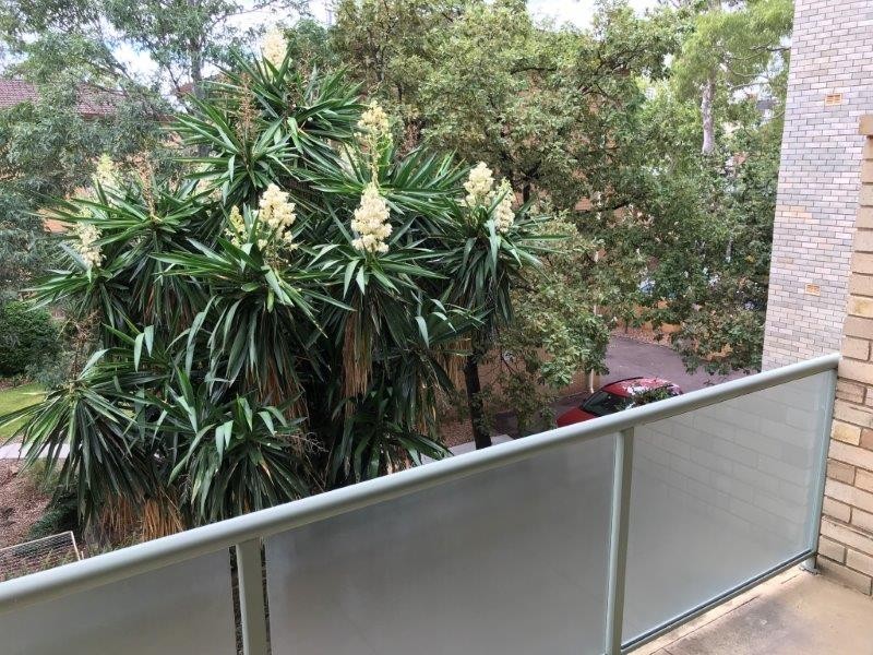 2D/11 River Road, Wollstonecraft NSW 2065