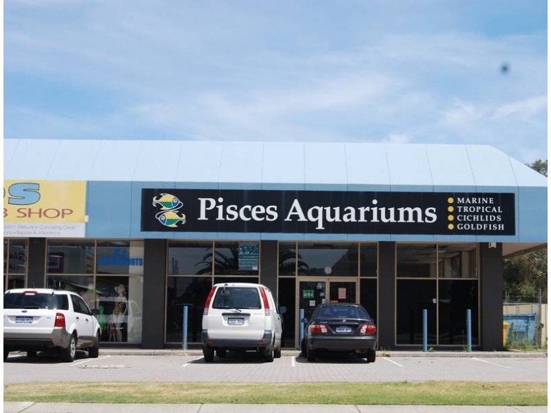 3/11 Augusta Street, Willetton WA 6155