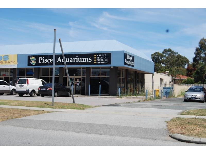 3/11 Augusta Street, Willetton WA 6155