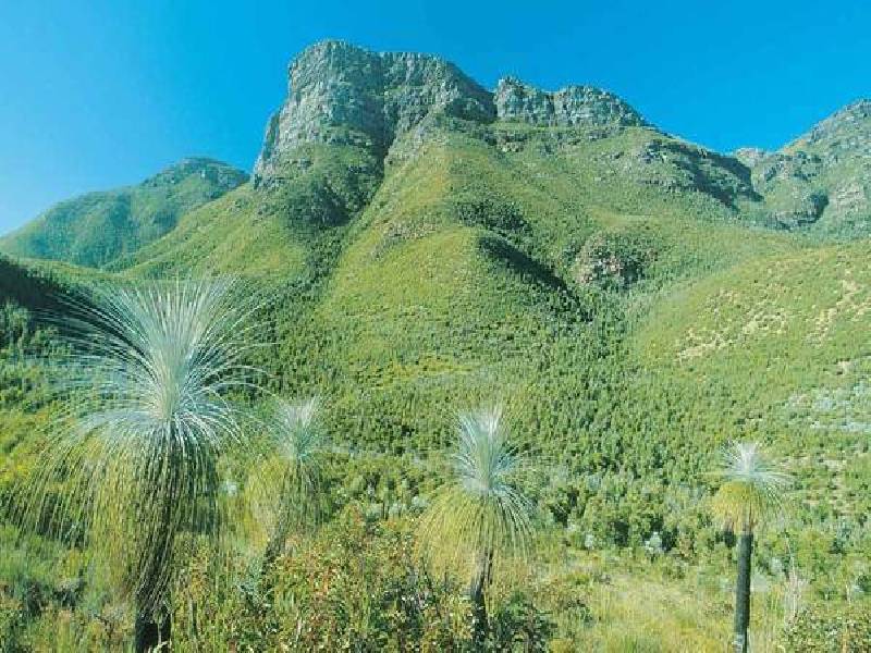 801 Stoney Creek Road, Porongurup WA 6324