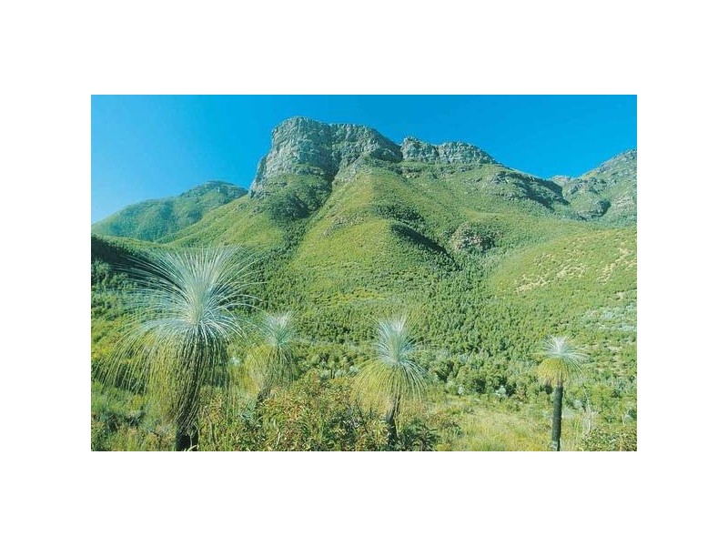 821 Stoney Creek Road, Porongurup WA 6324