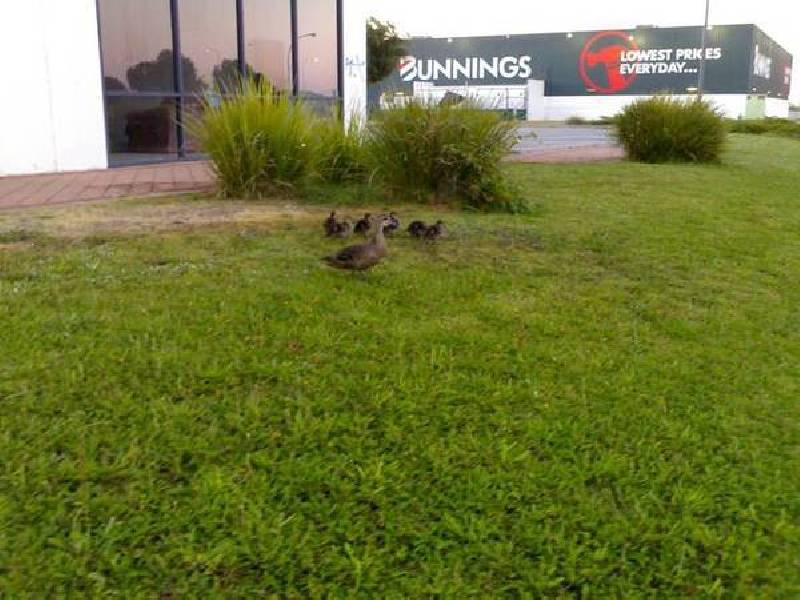 8/1-5 Sunlight Drive, Port Kennedy WA 6172