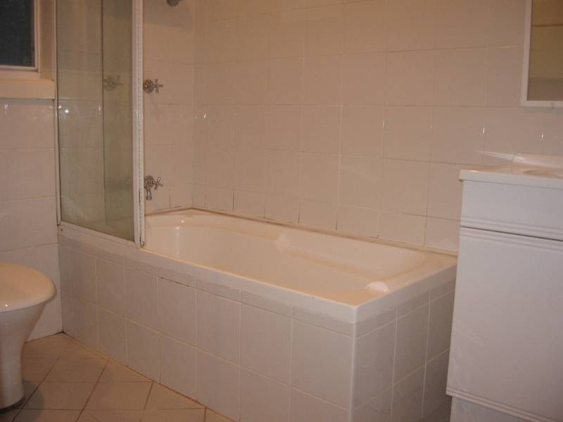 29 Neptune St, Dundas NSW 2117