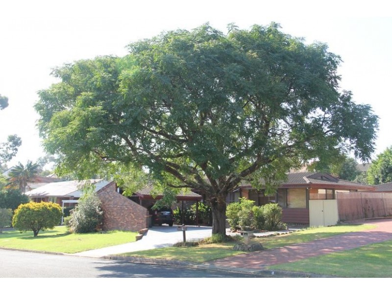 6 Windsor Avenue, Carlingford NSW 2118