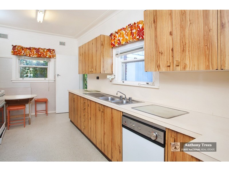 20 Buena Vista Avenue, Denistone NSW 2114