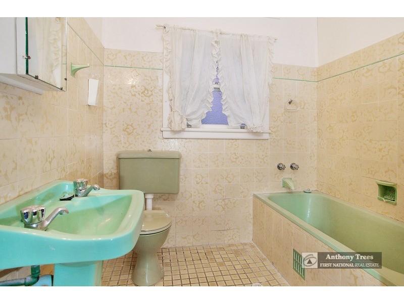 20 Buena Vista Avenue, Denistone NSW 2114