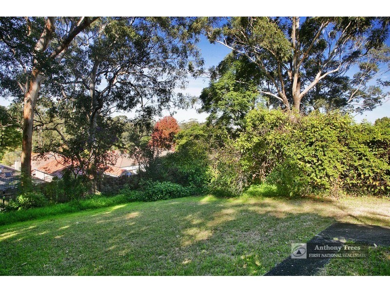 20 Buena Vista St, Denistone NSW 2114