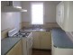 19 Brande St, Belmore NSW 2192