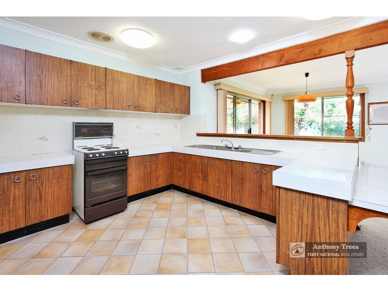 22 Holland Place, Telopea NSW 2117