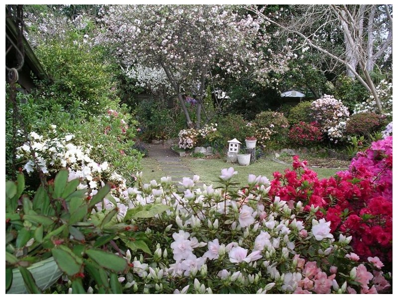 5 Johnston Rd, Eastwood NSW 2122