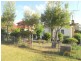 3 Brabyn St, Denistone East NSW 2112