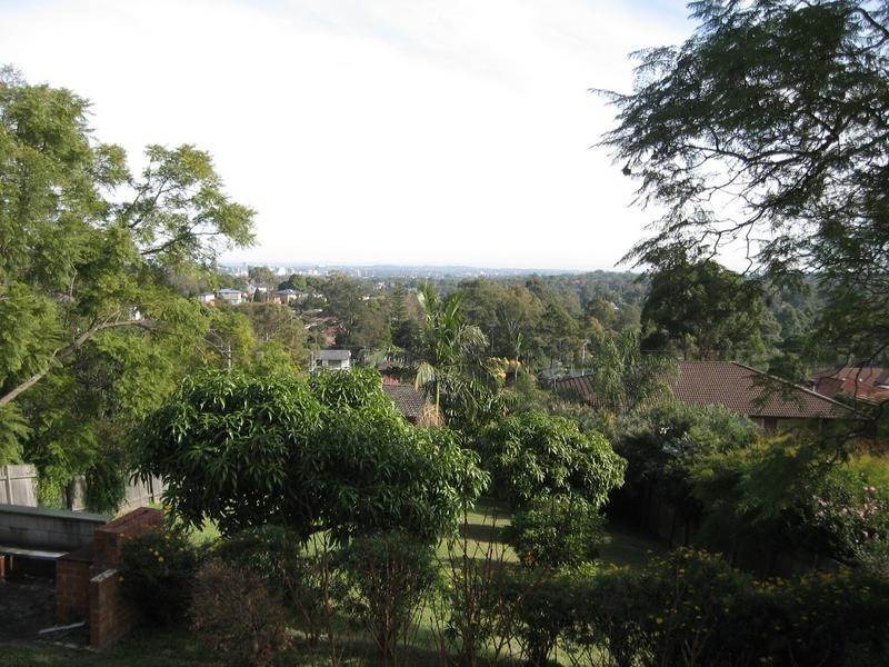 17 Carson Street, Dundas NSW 2117