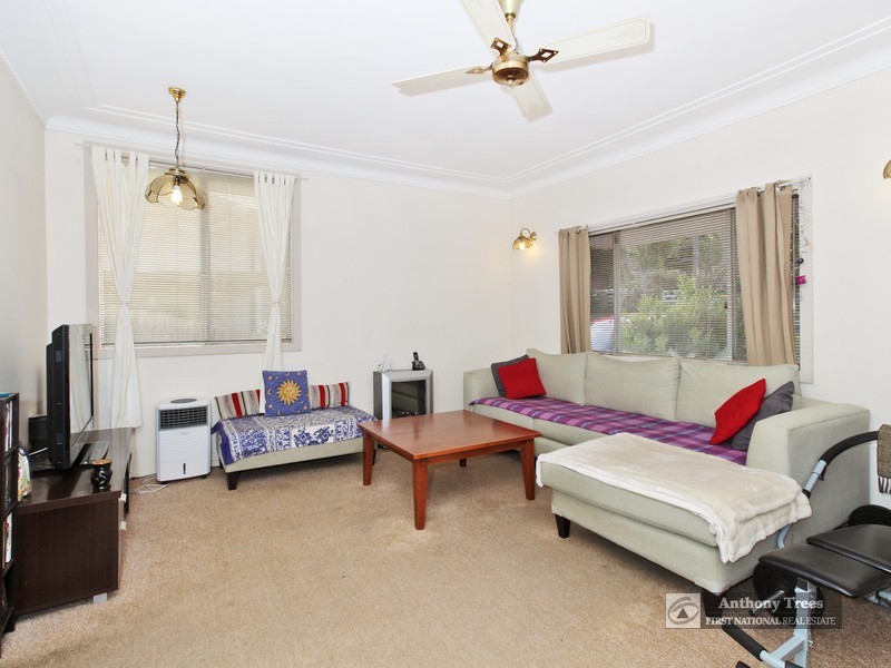 19 Simpson St, Dundas NSW 2117