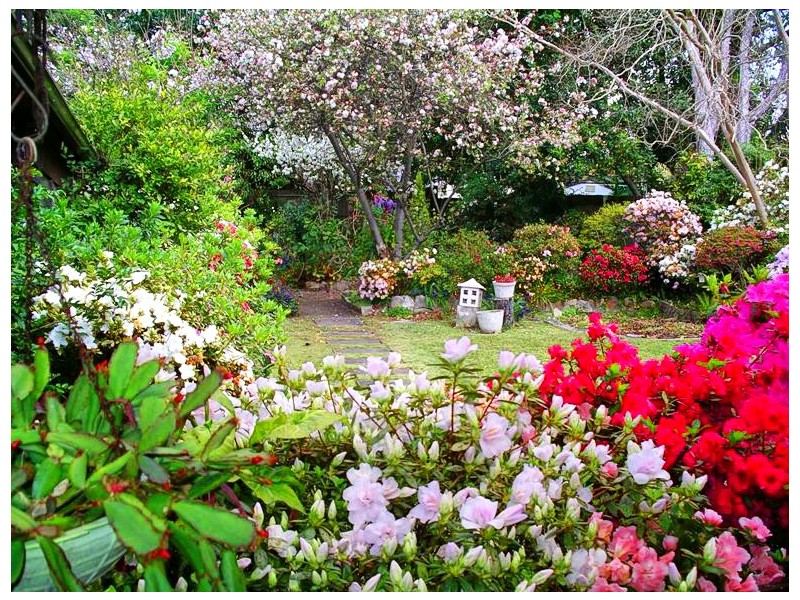 5 Johnston Rd, Eastwood NSW 2122