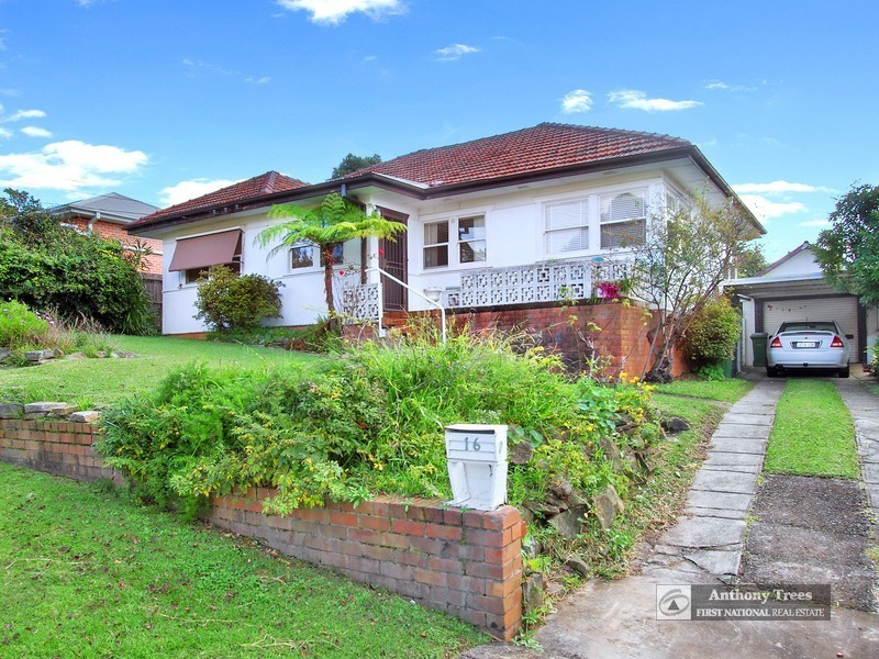 16 Raimonde Road, Eastwood NSW 2122