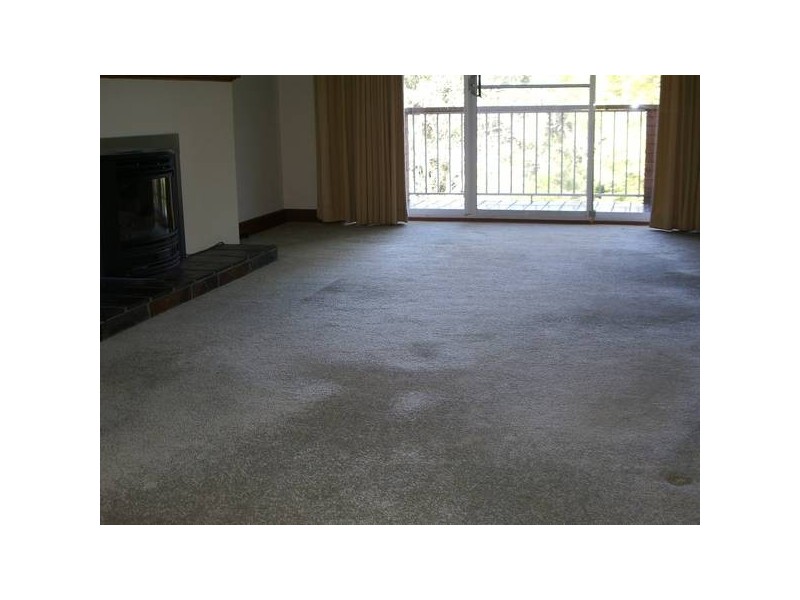 172 Copeland Road East, Beecroft NSW 2119