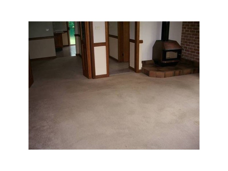 Trelwaney Street, Eastwood NSW 2122