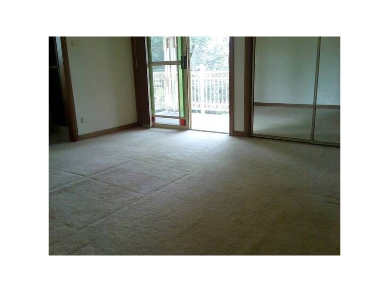 Trelwaney Street, Eastwood NSW 2122