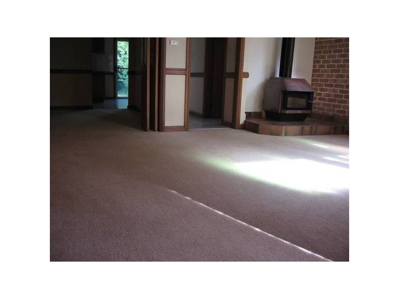 1/17 Trelawney Street, Eastwood NSW 2122