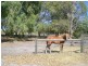 9 Nella Place, Wellard WA 6170