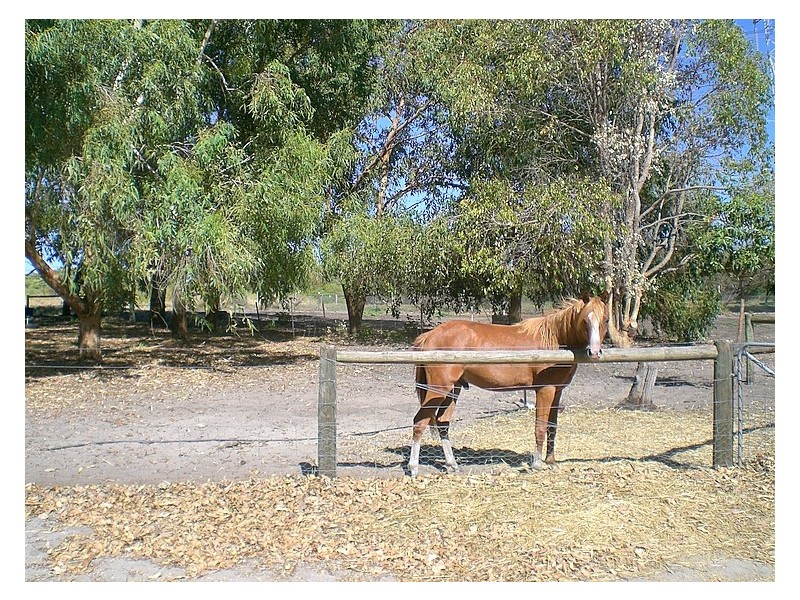 9 Nella Place, Wellard WA 6170