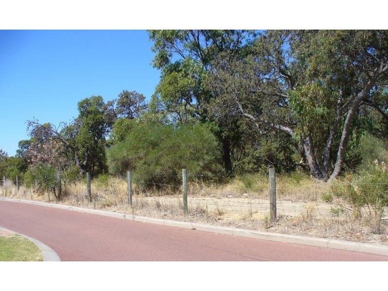 48 Senecio Lane, Beeliar WA 6164